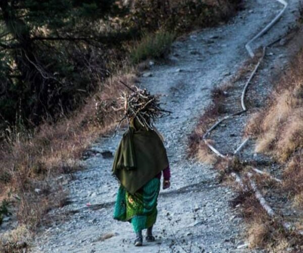 उत्तराखंड में निकायों की मतदाता सूची जारी, पहाड़ों से बढ़ा पलायन तो मैदानी क्षेत्रों में बढ़ी संख्या