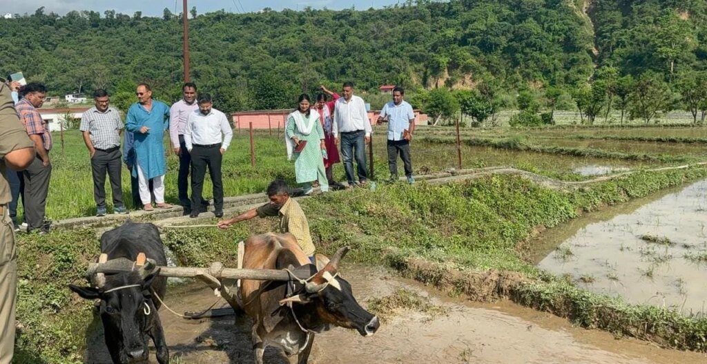 मुख्यमंत्री के निर्देशन पर जिला प्रशासन ने विलुप्त दून बासमती को दिलाई नई पहचान