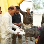 वन्यजीव संरक्षण एवं प्रबंधन को सशक्त बनाने की दिशा में निरंतर प्रयास: सुबोध उनियाल