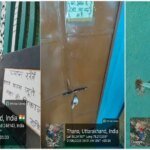 बिना अनुमति संचालित मस्जिद-मदरसा भवन पर एमडीडीए का शिकंजा; नोटिस, सुनवाई और मोहलत के बाद हुई कार्रवाई, अवैध निर्माण को किया गया सील
