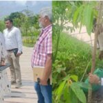 सीएम धामी के विजन को धरातल पर उतार रहा एमडीडीए, सिटी फॉरेस्ट के बाद मियांवाला में एक और पर्यावरणीय तोहफा